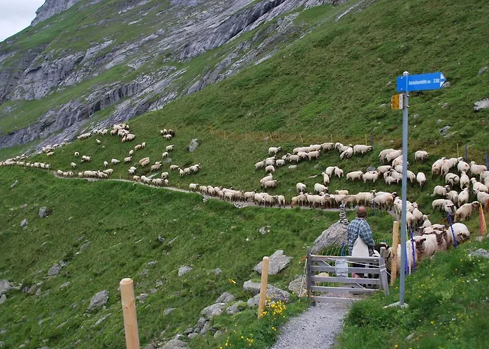 Locanda Berghaus Baregg