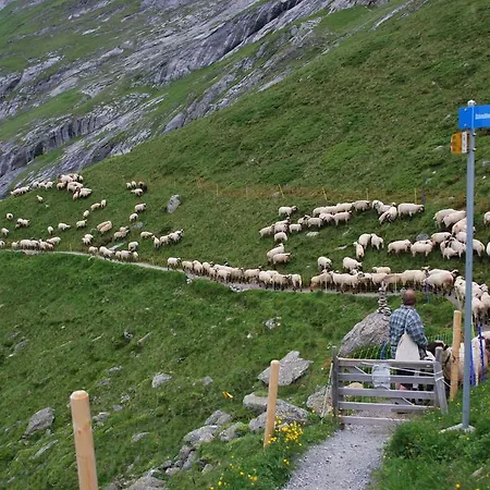 Locanda Berghaus Baregg