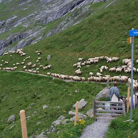 Zajazd Berghaus Baregg