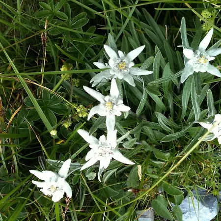 Berghaus Baregg Locanda